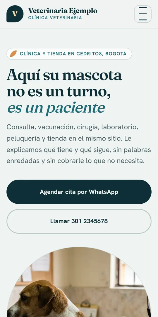 Muestra de ejemplo de la página de una veterinaria, vista en un celular.